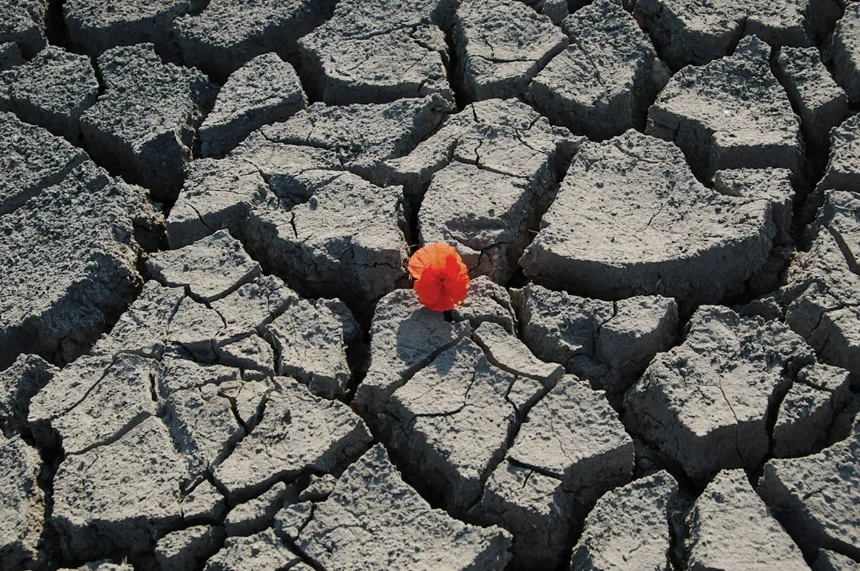 Resilience