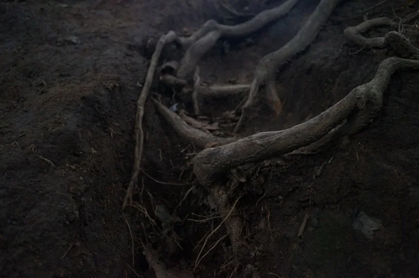 ok 어근의 의미와 활용법 요약